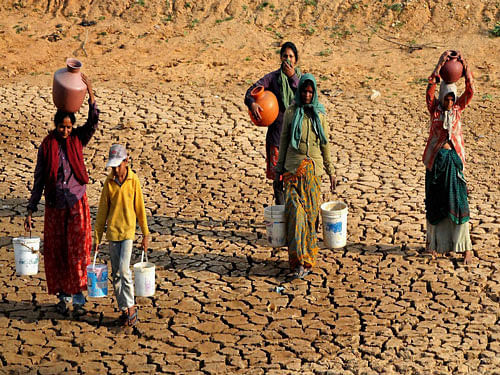 Noting that at least one-fourth (about 33 crore) of the country's population was affected by drought, the court directed the state governments to take appropriate steps to ensure that at least the statutory requirement of food grains made under the National Food Security (NFS) Act was made available to the people, including those not having ration cards. PTI file photo