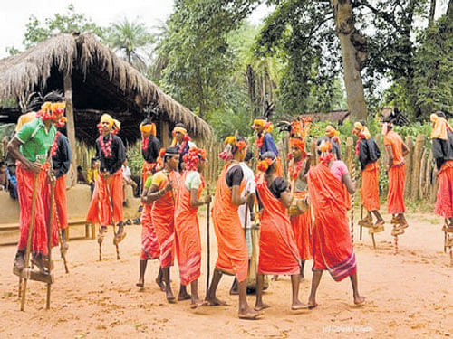 notes from nature 'Sua' dance, performed by women hailing from Maikal Hill, Chhattisgarh, mimics the movement of parrots.