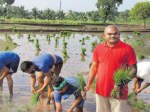 Trichy Jail Superintendent Murugesan (standing with paddy seedlings) assists  inmates working in the field inside the prison complex.