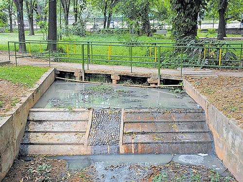 Sewage water enters Cubbon Park from High Grounds area. dh photo