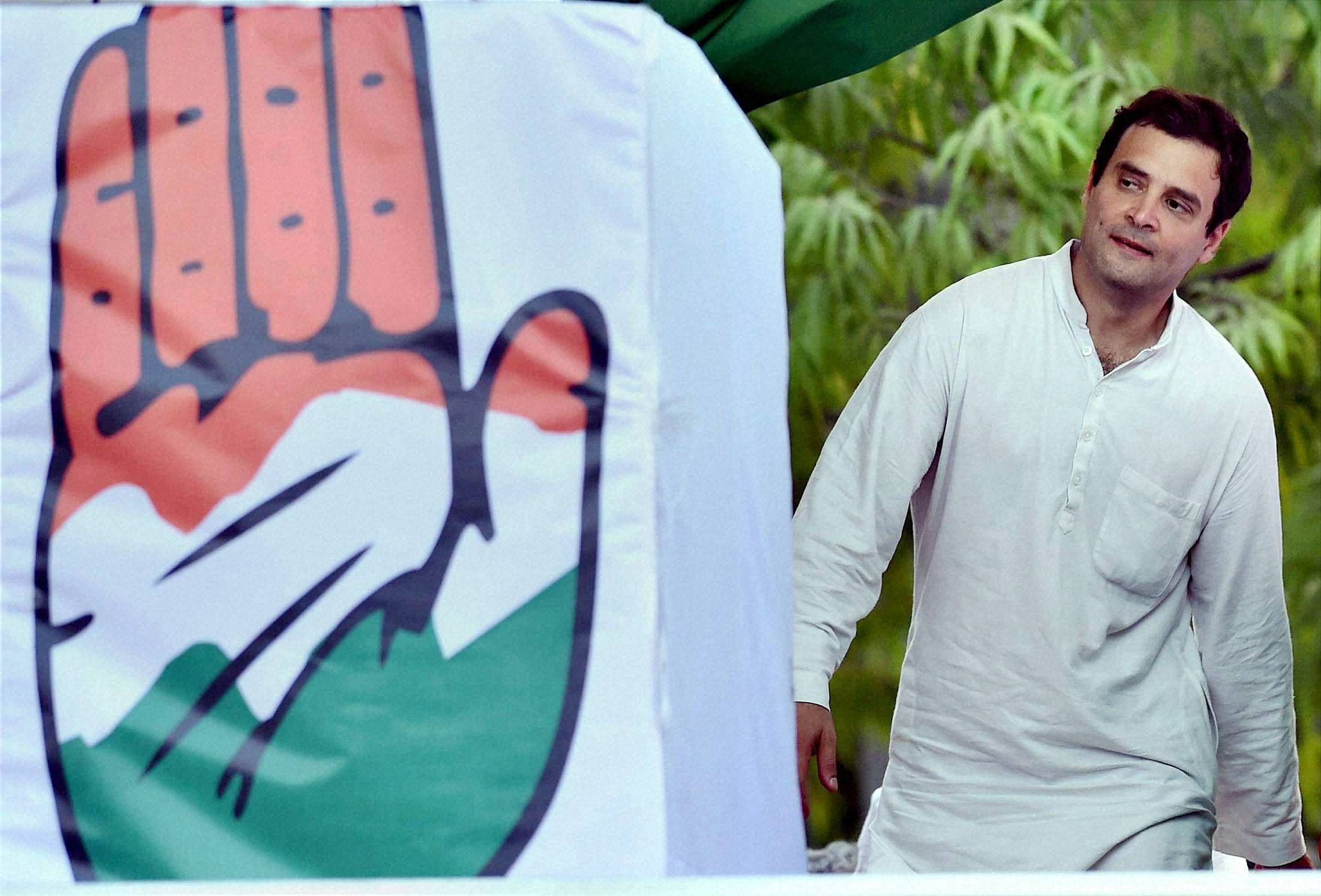 Amid questions over Rahul Gandhi's leadership after poll debacle, Congress today signalled that the national leadership is not washing off its hands even as it insisted that the party Vice President took no decision on his own and that he would be 'more active' in the future. PTI file Photo