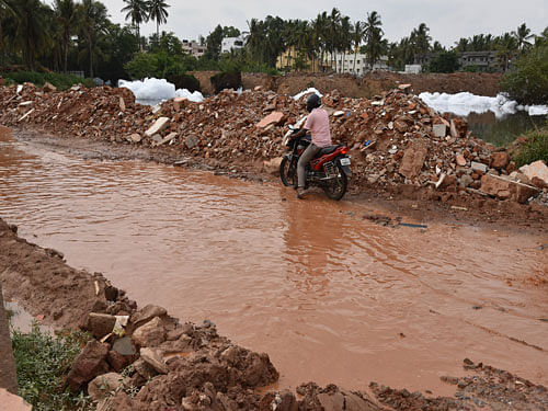 Heavy and widespread rains which lashed parts of the state, particularly north Karnataka, late on Thursday, has resulted in extensive loss of crops. DH photo