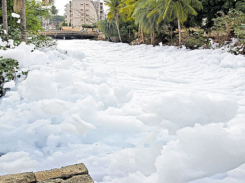 The foam level at Bellandur lake has increased to 25 feet  after downpour on Thursday.  dh photo