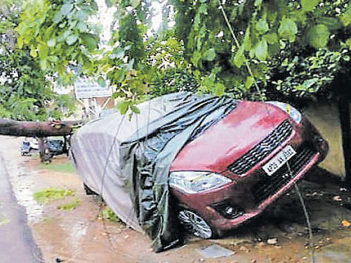 collateral damage:  A view of uprooted hoardings and damaged cars in Hyderabad on Friday.