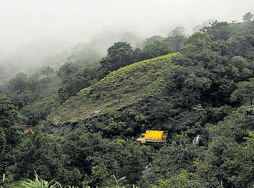 The Western Ghats are spread across Gujarat, Maharashtra, Goa, Karnataka, Kerala and Tamil Nadu. DH file photo
