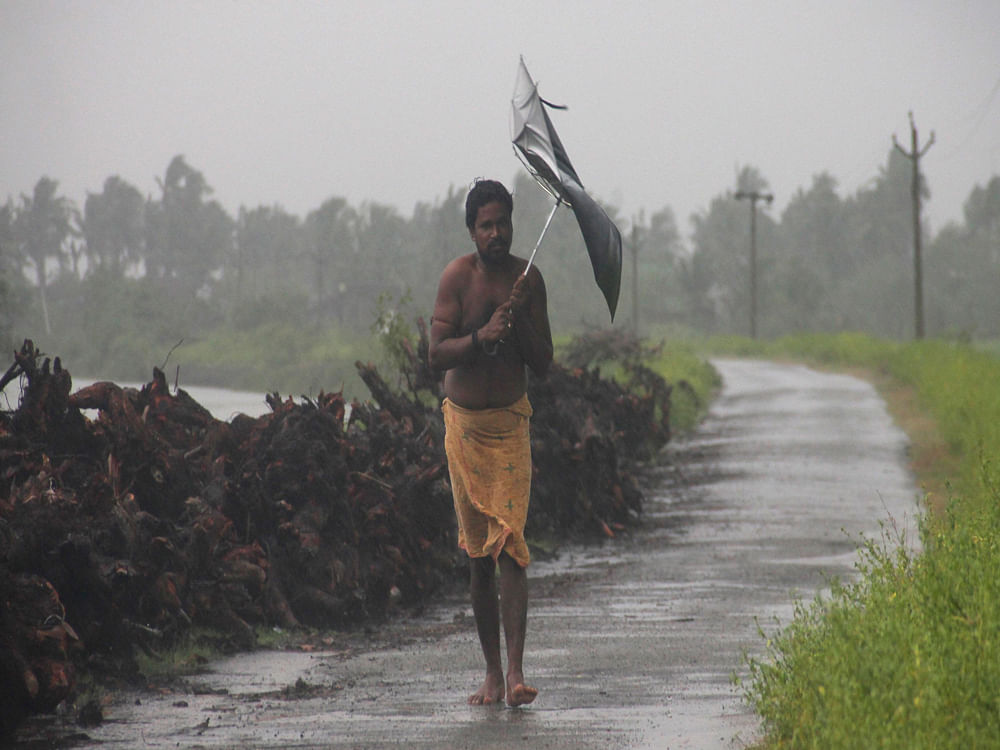 According to the sources here, a large number of trees and electric poles were uprooted as high velocity winds hit several districts in east, central and Bundelkhand region of the state on Friday and Saturday nights. PTI file photo