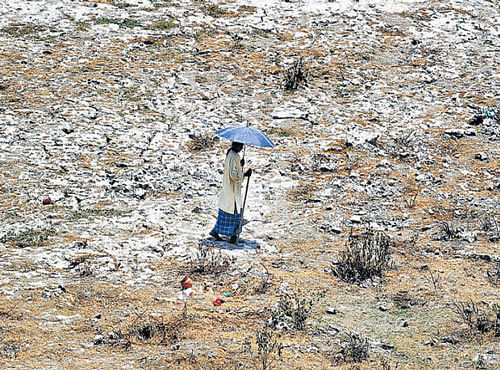 A man walks on the parched banks of the river Ganga in Allahabad on Tuesday. REUTERS