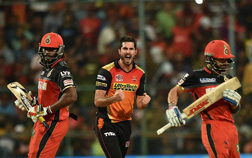 Sunrisers Hyderabad Ben Cutting (C) celebrates the wicket of Chris Gayle during the IPL 2016 Final match between Royal Challengers Bangalore and Sunrisers Hyderabad at Chinnaswamy Stadium in Bengaluru on Sunday. PTI Photo