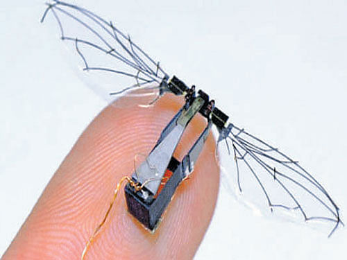 Robobee - the drone to perch and save energy