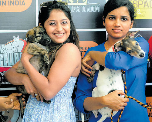 'Indian Salsa Princess' Sneha Kapoor (left), brand ambassador for the adoption drive of rescued canines and felines  organised by People For Cattle in India in the city on Sunday, is seen with a participant. dh photo