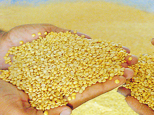 The government also approved a bonus of Rs 425 for pulses and Rs 100-200 per quintal for oilseeds growers over and above the MSP to encourage domestic production and check prices. File photo
