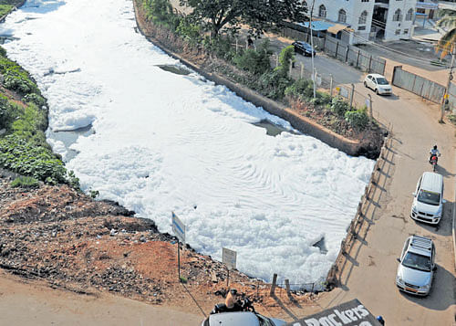 eco watch The frothing due to the flow of chemical effluents into the Bellandur lake has been a cause for concern. DH FILE&#8200;PHOTO