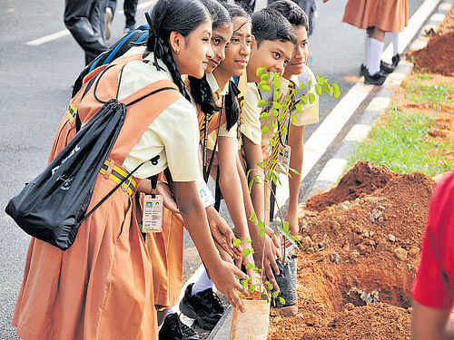 Students plant saplings around Allalasandra Lake on Sunday.