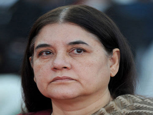 Maneka claimed the Centre has allowed killing of 'nilgai' in Bihar, elephants in West Bengal, monkeys in Himachal Pradesh, peacocks in Goa and wild boars in Chandrapur even when the wildlife departments of states are saying they do not wish to kill animals. DH File Photo.