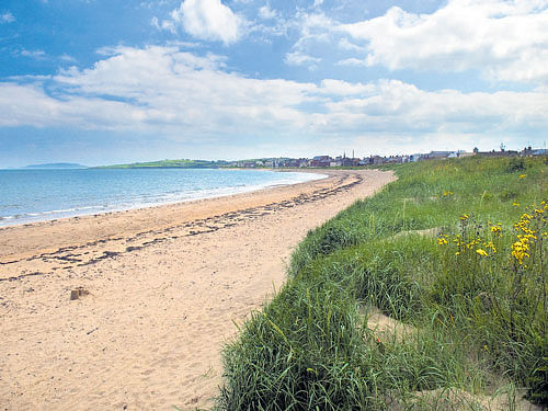 Local colours: A sandy stretch on the beach.