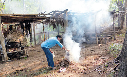 traps Chilli smoke is generated by burning chilli and tobacco; photo courtesy: wrcs