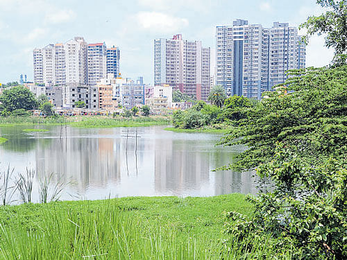 The NGT has fixed 75metres as buffer zone around lakes.