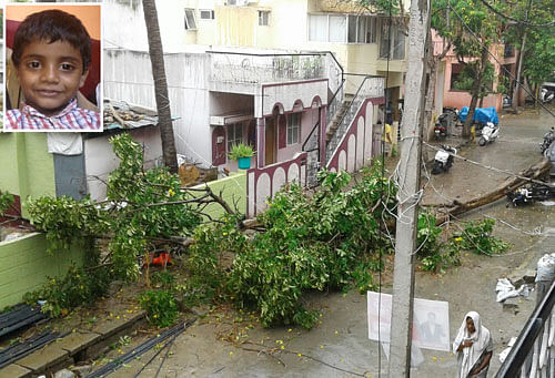 The house of 4-year-old Jeevan (inset) who died when a tree fell on him at Viveknagar on Monday. DH PHOTO