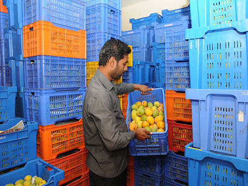 The shipment contained 250 boxes of mangoes and 50 boxes of pomegranates under the brand 'FarmRus', a company release said. DH File Photo for representation.