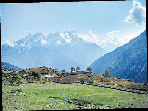 majestic A view of the Kinnaur Kailash range.