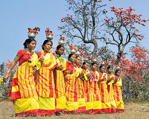 Festive spirit: Women in bright-coloured sarees perform 'Santhali'.
