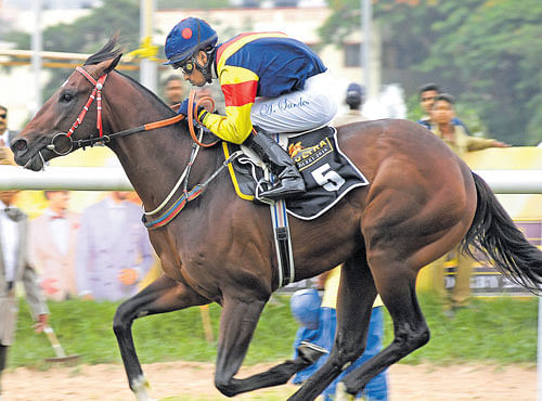 DOMINANT: Jockey A Sandesh guides Serjeant At Arms to victory in the Kingfisher Ultra Derby. DH PHOTO