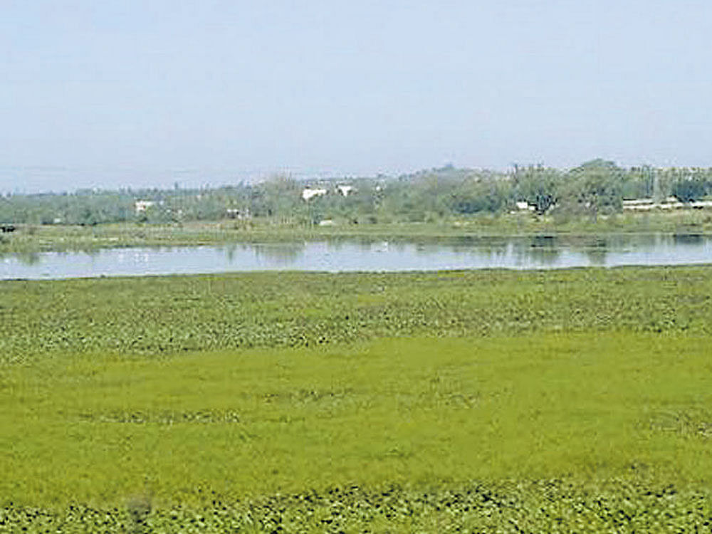 The Madras Engineer Group (MEG) will not only use the lake for training, but also ensure it is clean and free from encroachment, according to a senior LCDA official.