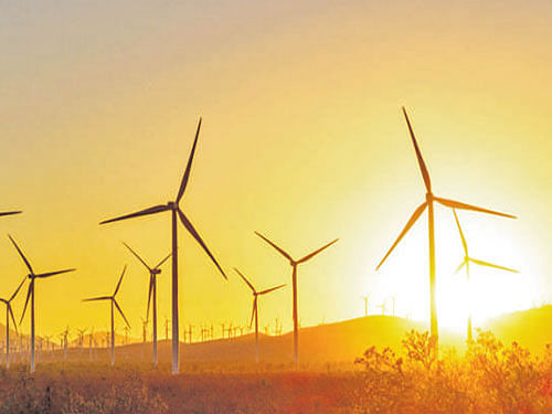 Tamil Nadu, with an installed capacity of 7,600 MW of wind power, contributes about 27% of the country's total installed wind capacity. In addition, there is an installed capacity of 1,142 MW of solar power. File photo. For representation purpose