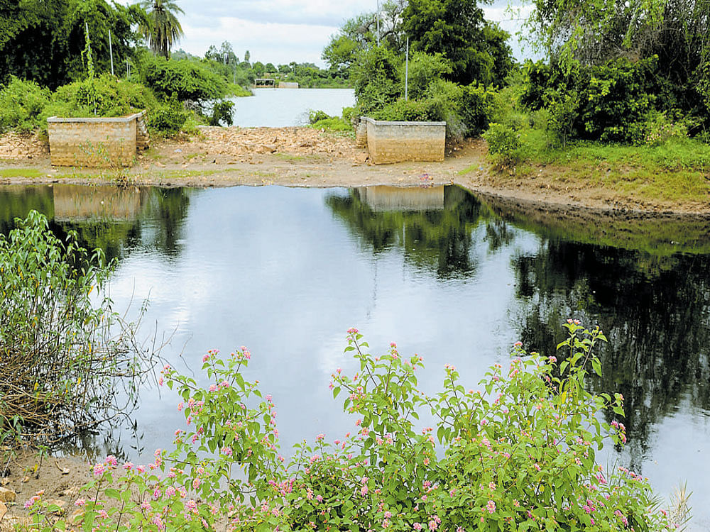 Once a city of thousand lakes, Bengaluru is now left with just 210 of them; 80% of these are in a pathetic condition. DH file photo