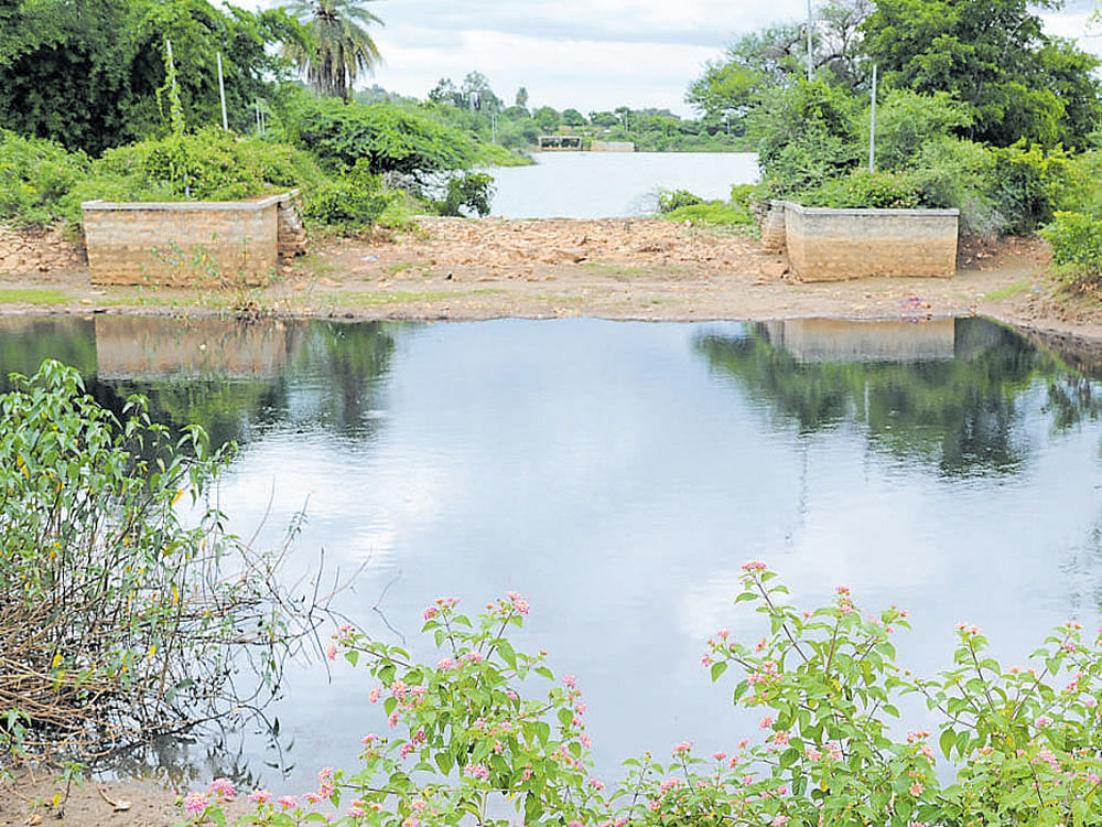 Lingadheeranahalli residents charged that the Sompura lake had become poisonous as leachate got mixed with its pristine water. DH file photo