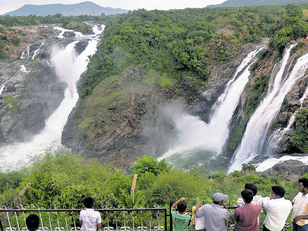 Footfall at the Gaganachukki Falls in Mandya district is yet to pick up this season. DH file photo