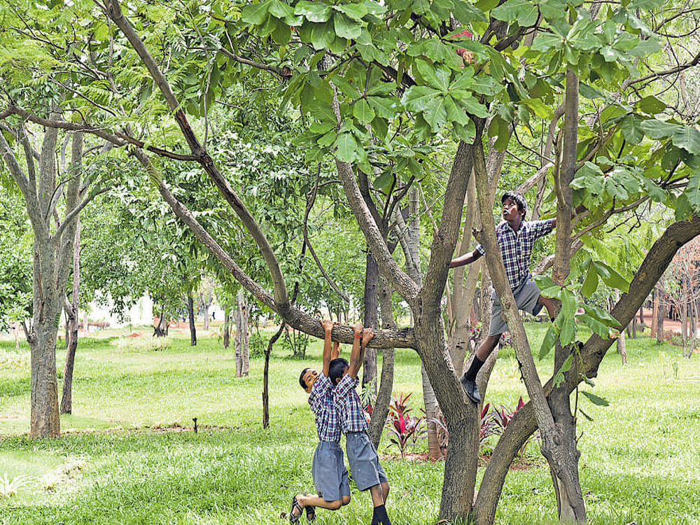 Children play in the biodiversity park, spread over 33 acres, in HBR Layout. DH photo