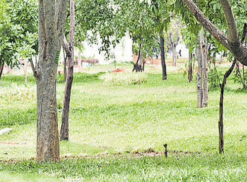 The Karnataka Urban&#8200;Development Authorities (Amendment) Bill, 2016, seeks to reduce the area to be reserved for public parks and playgrounds in layouts from the present 15% of the total area to 10%. It also seeks to reduce the area to be reserved for civic amenities from the present 10% of the total area to 5%.