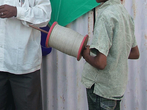 The order stated that no person, including shopkeepers, vendors, wholesalers, retailers, traders, hawkers or salesmen should procure, stock, sell and use Chinese Manja or Chinese Dor in the state dh file photo