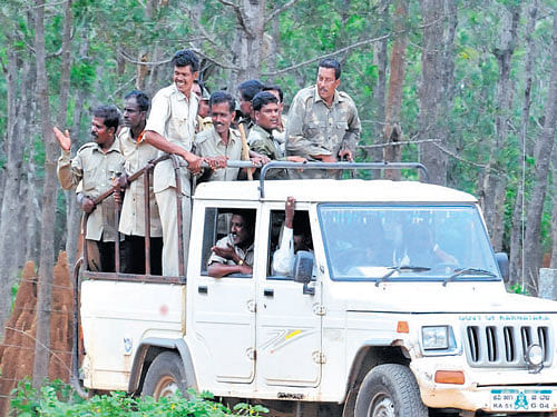 For the first time, all 27 APCs in a tiger reserve in Karnataka have been provided with LPG cylinders and stoves by the Conservation Awareness Team Trust (CATT), an NGO, in July second week. dh file photo for representation
