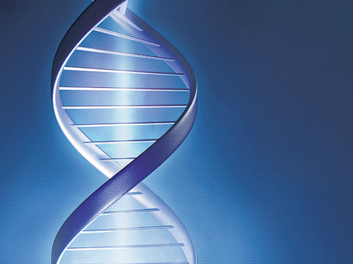 The research shows that a genetic score comprising 20,000 DNA variants explains almost 10 per cent of the differences between children's educational attainment at the age of 16. File Photo for representation.
