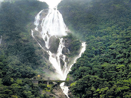 Monsoon magic A breathtaking view of Doodh Sagar Falls.