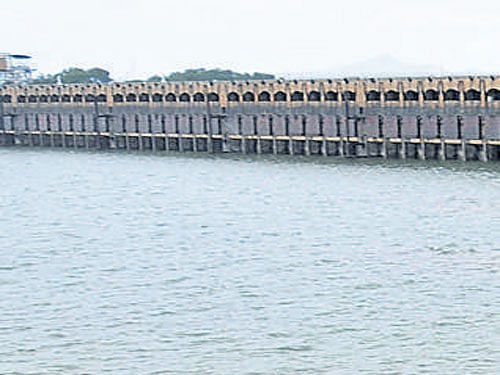 No significant rise in water level in KRS