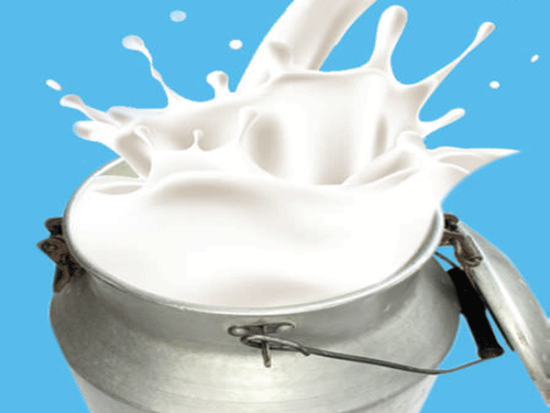 Kids in anganwadis  to get whole milk