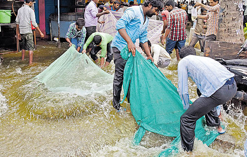 People use nets to catch fish in the flood water in BTM Layout. DH PHOTO/ S K Dinesh