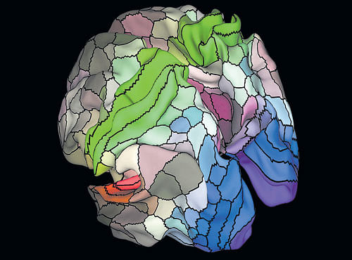 UNPRECEDENTED A new map of the brain based on brain scan data collected by the Human Connectome Project. PHOTO CREDIT: NYT