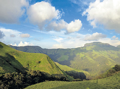 REJUVENATING A panoramic view of the Mandalpatti hills in Kodagu