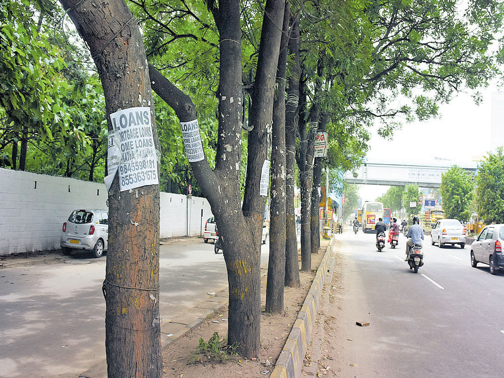 Trees along Outer Ring Roadhave handbills stuck on them. DH photo by B K Janardhan