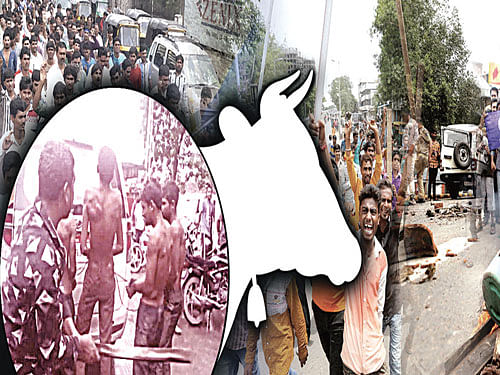 Some anti-social elements at a few places are taking law into their hands and perpetrating violence to disturb social harmony. This has raised questions about the pious work of 'gau raksha and gau sewa' (cow protection and service), RSS General Secretary Suresh Bhaiyyaji Joshi said in a statement.