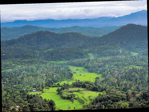 splendid view Bengalureans, like Harsha Sandesh, are travelling to Coorg during the weekend.