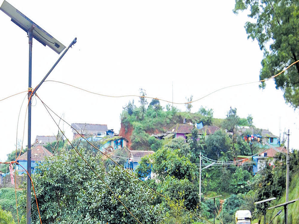 The defunct solar lamps on a road leading to Indira Nagara. DH photo
