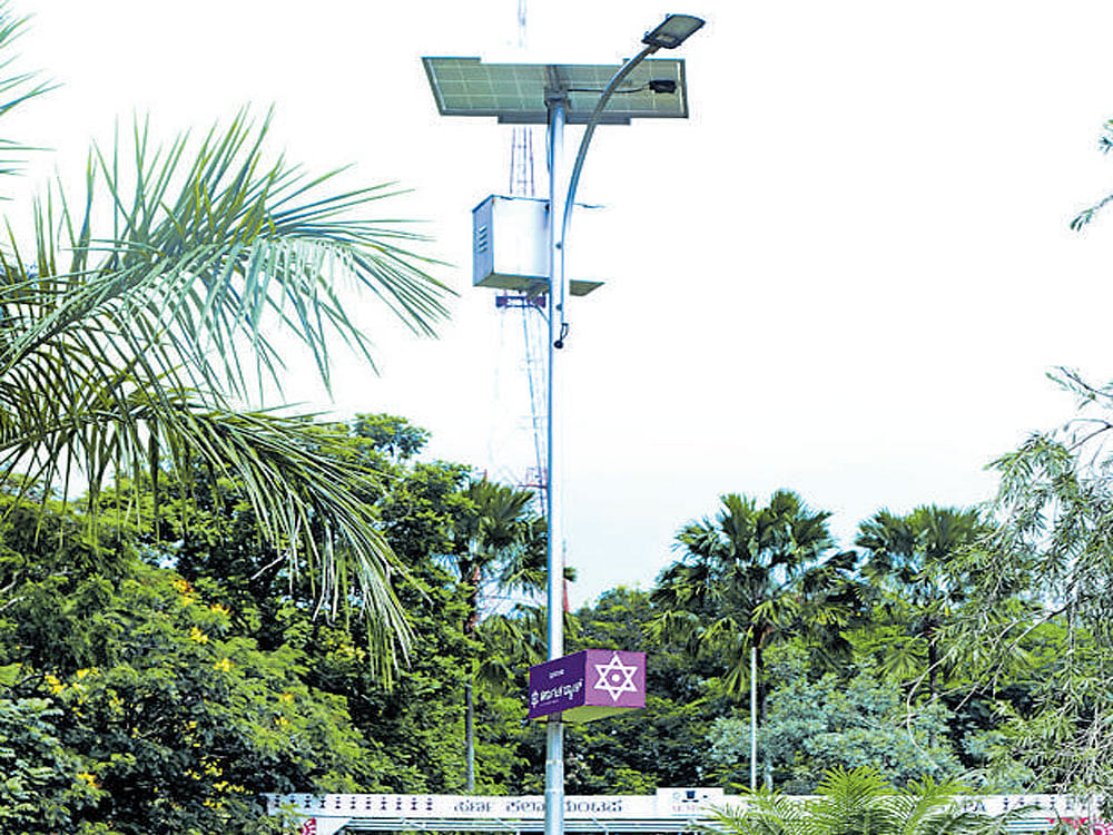 One of the  60 solar lamps at the park. DH photo