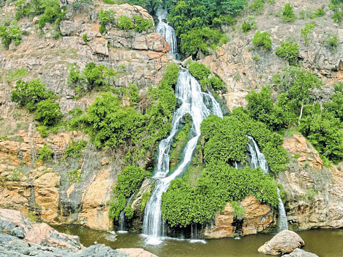 The Chunchi Falls, which is visited by hoardes of tourists over the weekends, lacks railings  to support and sign boards that guide to reach the falls, complain tourists. dh photo