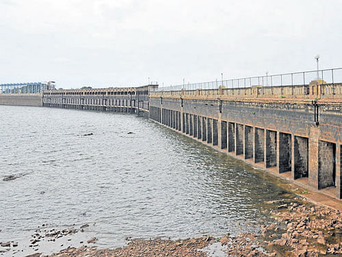 Release of water from the Cauvery basin is worst this year compared to the last 40 years. dh file photo