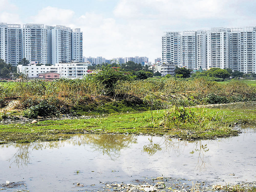 The commissioner, who submitted his report to the court recently, has identified 3.95 acres of encroachment on the lake, which is located on survey number 112 of Byrasandra village, Varthur hobli, in Bengaluru East taluk. DH file photo. For representation purpose